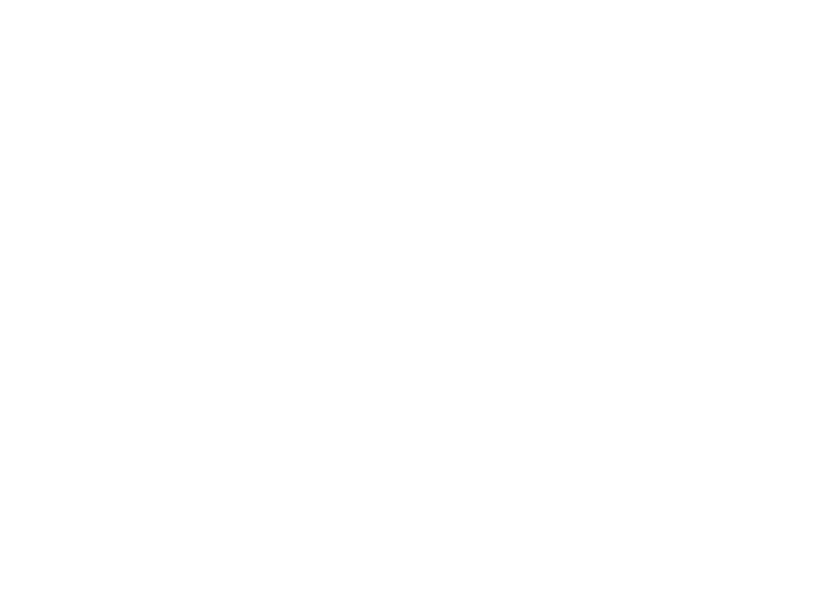 About Varnik